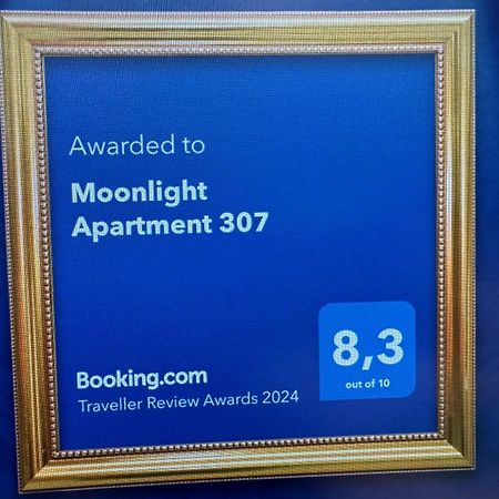 Moonlight Apartment 307 Levi Buitenkant foto